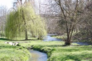 Mit dem Taxi durch Baden-Baden